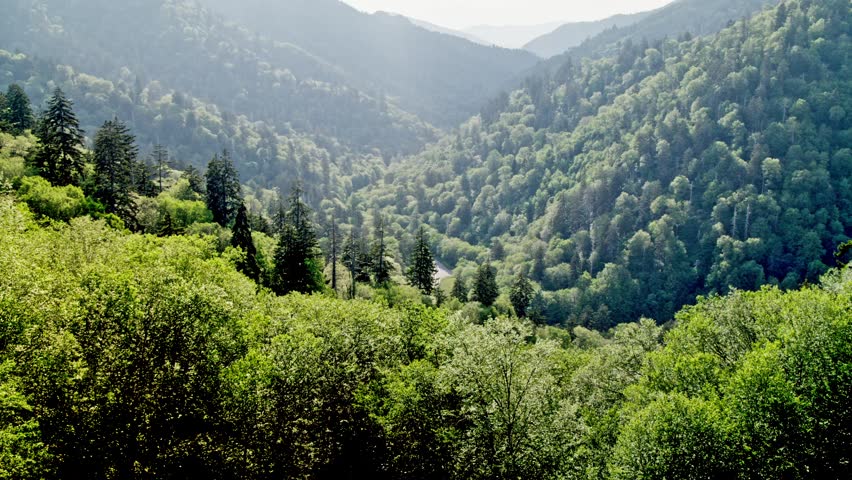 Great Smoky Mountains National Park green mountains in summer with wide shot slow tilt up.
