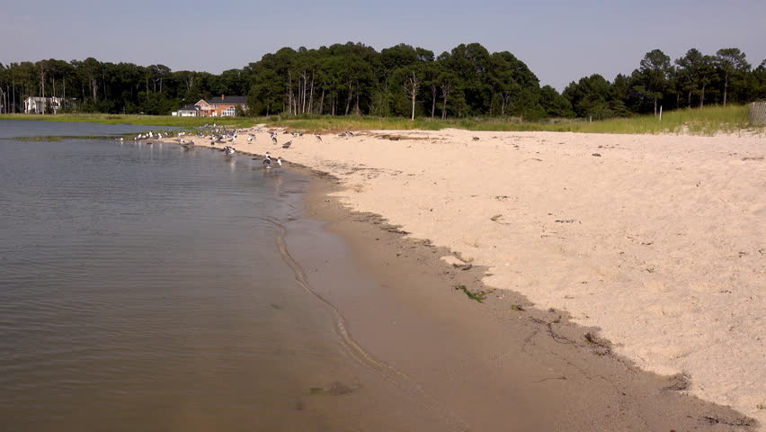 Sandy beach on a bay in Delaware.