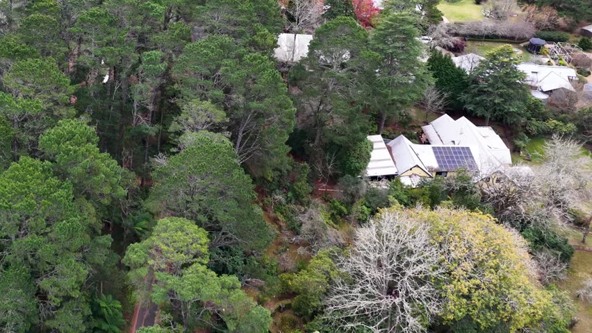 High angle drone shot of suburban homes surrounded by dense green trees in Wentworth Falls.