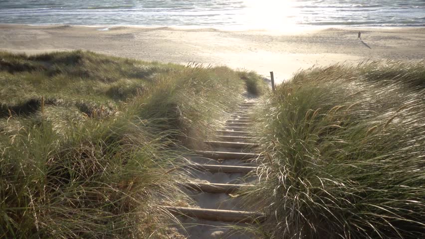 Hirtshals, Denmark A North Sea beach and dune landscape with grasses at sunset.  