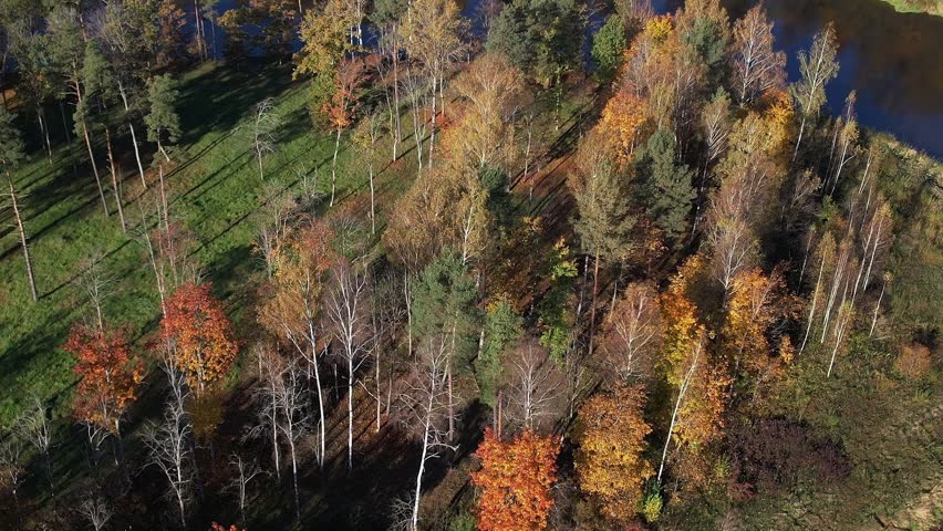 Trees show autumn colors near a river in Sigulda, Latvia. The landscape includes grassy areas and a clear view of the water surrounded by colorful foliage.