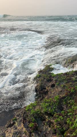 Close Up Ocean Waves Flowing Over Mossy Coastal Rocks at Tropical Beach