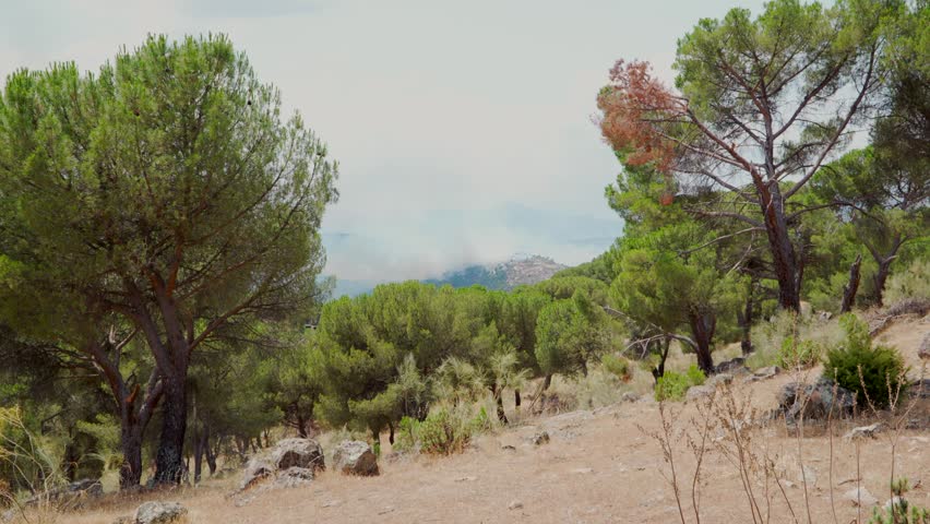 Fire burning in the mountains near Madrid. Zoom in during the day