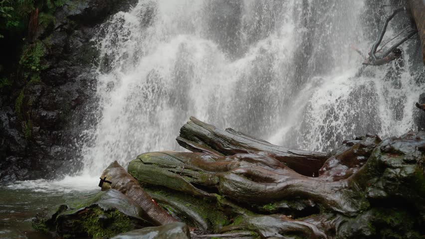 Mountain waterfall with old tree logs in the foreground, Georgia.