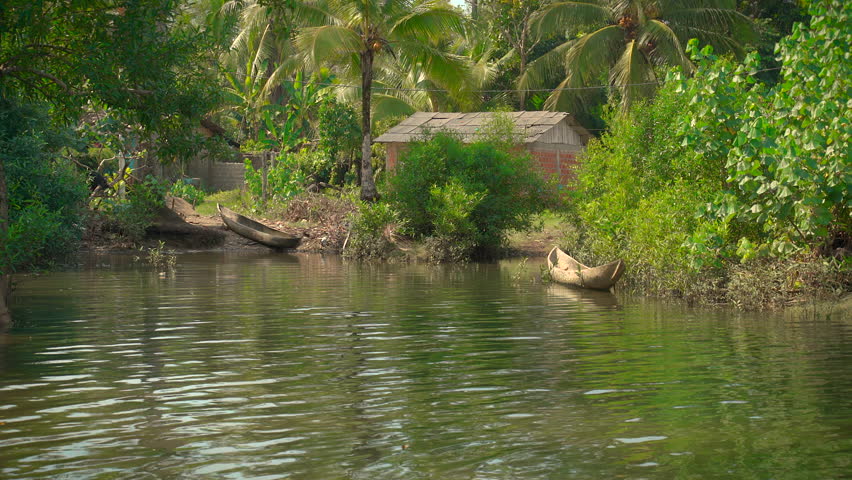 Wooden canoes sit parked on the muddy banks of a quiet tropical river surrounded by dense vegetation and palm trees in Nuquí.