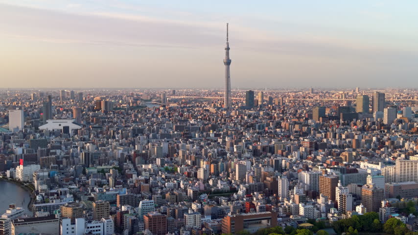 Aerial view of the Skytree and Tokyo cityscape during daytime, Sumida District, Tokyo, Japan.