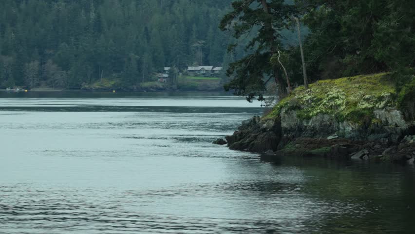 Calm coastal waters meet rocky forested shoreline under overcast light, remote setting