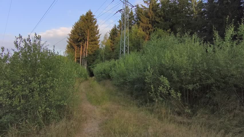 Peaceful forest path running beneath high voltage power lines through a green woodland. Summer nature landscape with electricity infrastructure and trees.