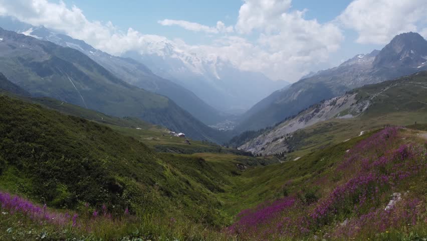 Scenic aerial drone shot of an alpine valley near Mont Blanc in the French Alps, showing green mountain slopes, rocky peaks, distant glaciers, clouds and purple summer wildflowers in the foreground.