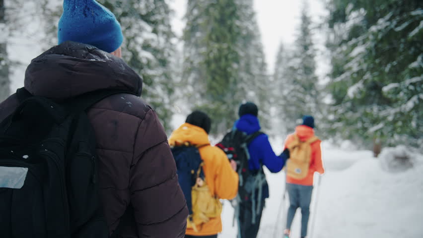 A group of people hike through a snowy forest, their backs to the camera as they walk along a winter trail. The scene captures the quiet beauty of a cold day in nature, with snow-covered trees lining