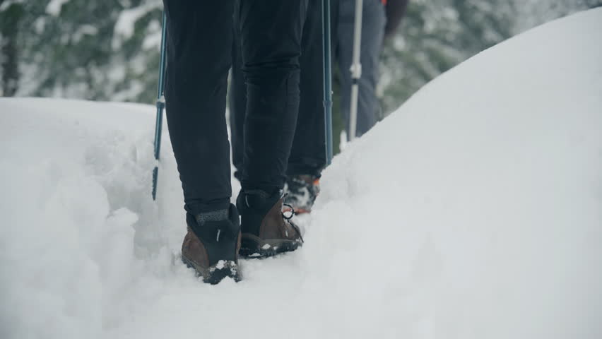 Two people hike through deep snow in a forest, using poles to navigate the winter terrain. The scene captures the effort and movement of trekking in cold, snowy conditions.
