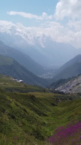 Vertical aerial drone view of an alpine valley near Mont Blanc in the French Alps, showing green mountain slopes, distant glaciers, cloudy peaks and purple summer wildflowers in the foreground.