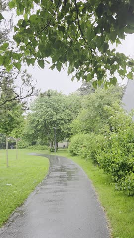 Wet Walking Path in a Green Park on a Rainy Day