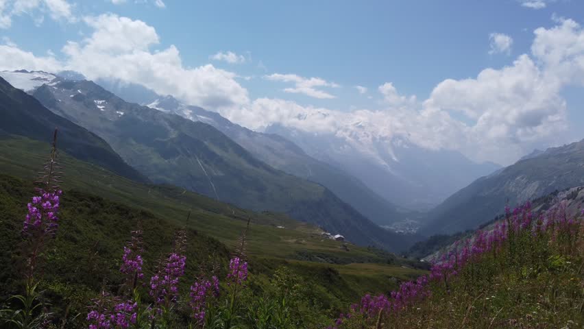 Static aerial drone shot of an alpine valley near Mont Blanc in the French Alps, showing purple wildflowers, green mountain slopes, rocky peaks, distant glaciers and clouds in summer.