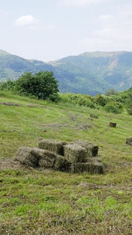 Bales of hay are arranged in a field surrounded by mountains and green hills under a clear sky.