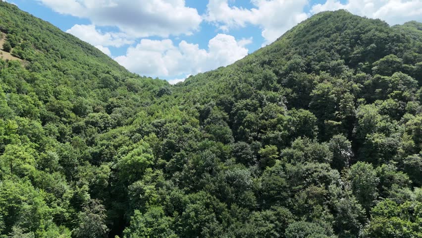 Wide mountain landscape covered in green forest with steep slopes, dense vegetation and exposed rock faces