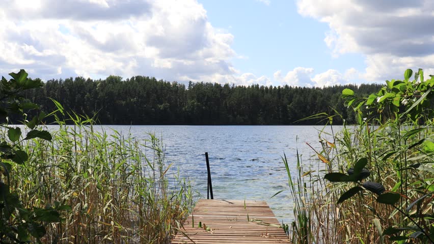 a small boat dock on the shore of a lake surrounded by tall green reeds on a sunny summer day