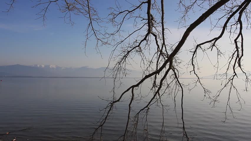 Bare tree branches framing a calm lake with distant snow-capped mountains on a clear day