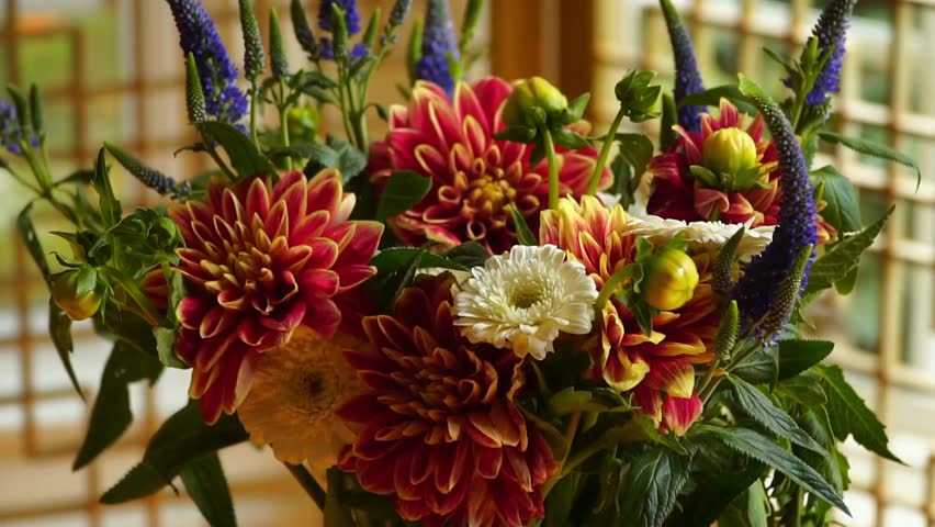 Vibrant bouquet features magnificent red orange dahlias, delicate white blooms, and striking blue veronica spikes.