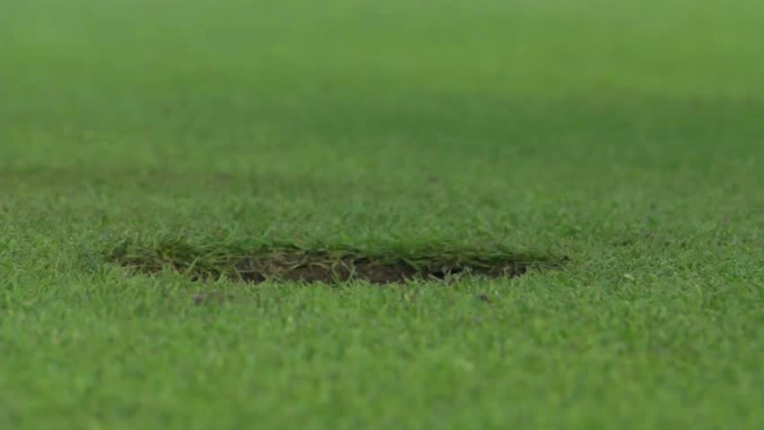 Close-up view of golf putting green with a ball hole surrounded by vibrant, well-maintained grass, showcasing the texture and quality of the surface.