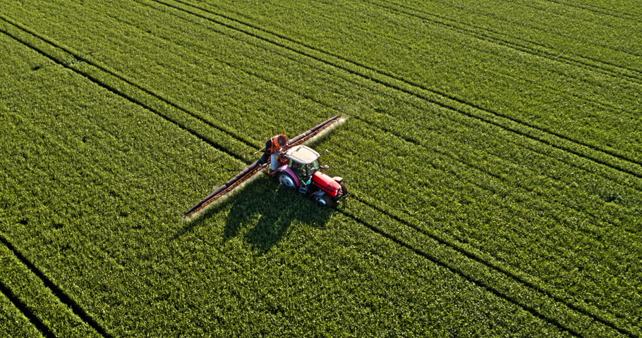 Tractor with sprayer fertilizing green crops in a large agricultural field during springtime