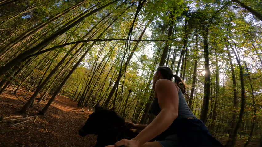 SELFIE: Woman cantering her dark brown horse along forest trail covered in fallen leaves. Warm sunlight beams through yellow autumn tree canopy. Exhilarating equestrian adventure in colourful woods.
