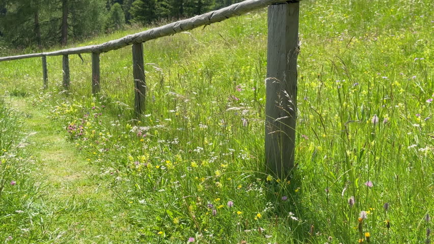 Grassy path winding through a mountain meadow with wildflowers and a rustic wooden fence