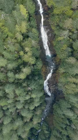 Aerial View of a Majestic Waterfall Cascading Through a Lush Forest in British Columbia, Canada