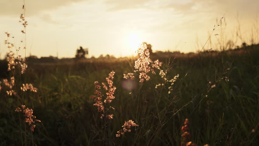 A serene late-afternoon atmosphere with beautiful twilight light.