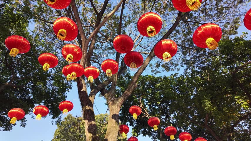 Red Chinese lanterns hung in tree canopies during Lunar New Year celebrations in George Town.