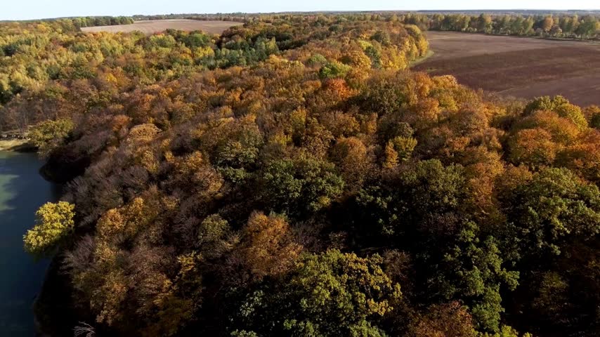 Beautiful autumn forest from above at sunset Countryside Autumn Forest. Fall Orange Green leaves