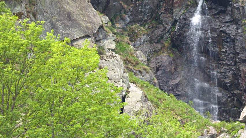 A mountain stream falls over dark rocks beside green foliage in Entracque, Italy.