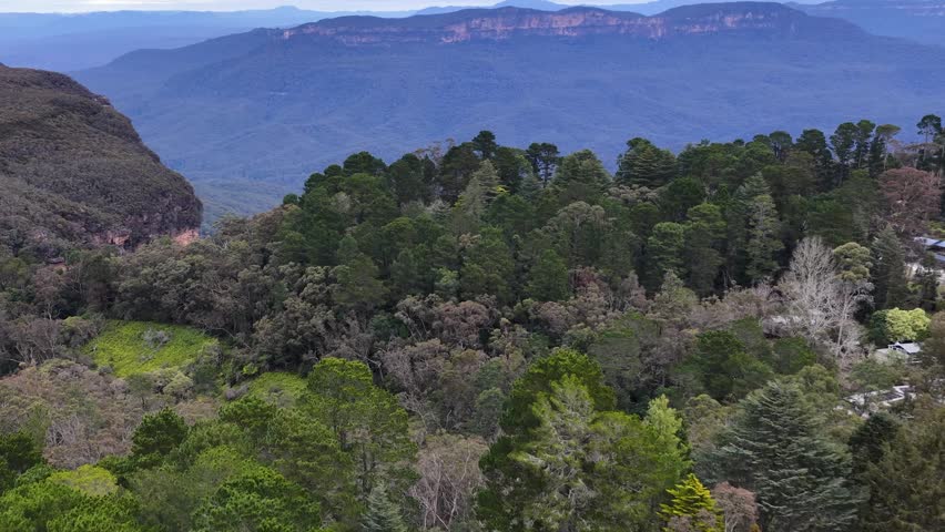 Wide shot of lush eucalyptus forest and distant sandstone cliffs in Wentworth Falls, Australia.