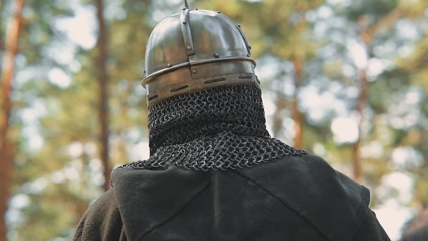 A knight in armor stands with a chainmail hood in a forest. The sunlight filters through the trees, creating a strong background as the knight gazes into the distance.