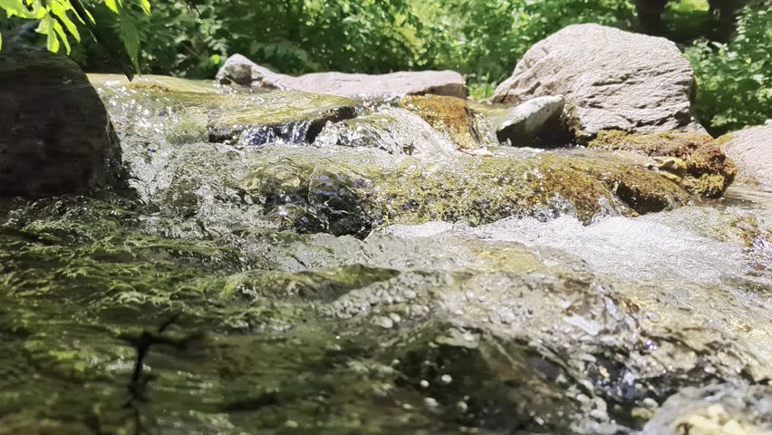 stream flowing through mountainous forests