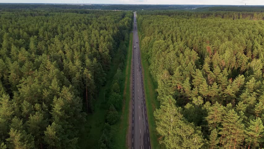 Drone video captures a long, empty road winding through lush pine forest under soft daylight. Bird