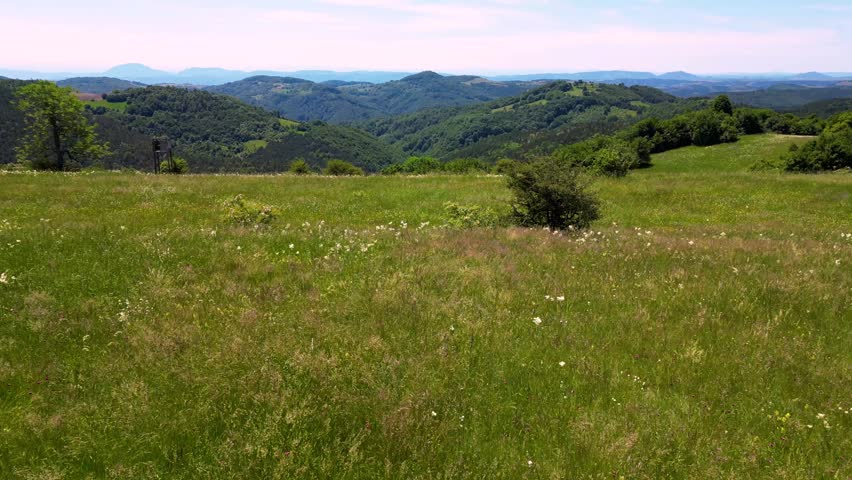 Low altitude aerial left pan over vibrant green meadow grass, dynamic fast movement with picturesque mountain range in the background, natural landscape in Serbia