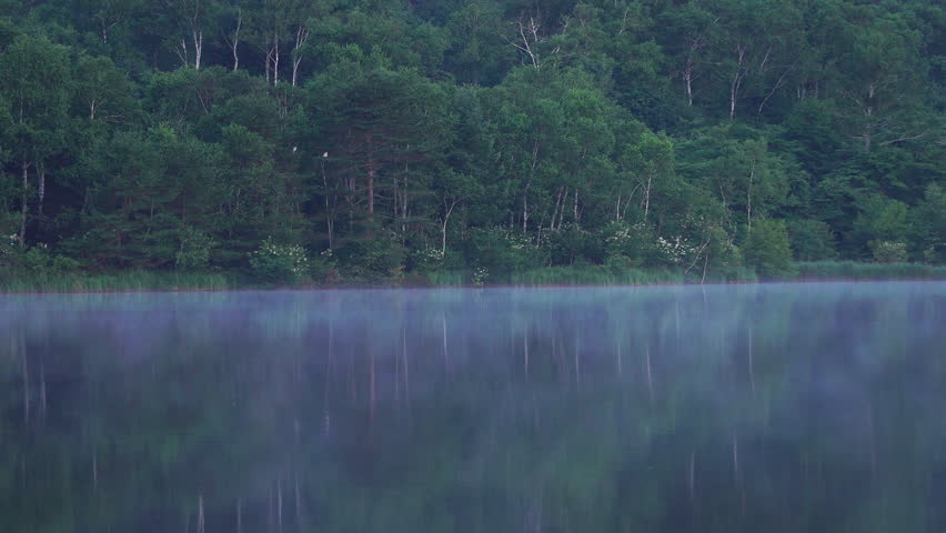 The calm surface of Lake Baragi in summer and the morning mist