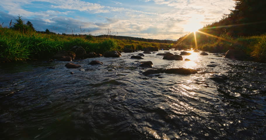 Crystal clear mountain stream flowing gently through a peaceful natural landscape at golden sunset with authentic sounds of water. Tranquil static nature scene ideal for relaxation and meditation.