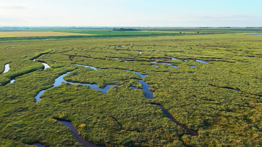 Aerial view of a lush green wetland. Winding water channels flow through the grassy terrain. The landscape stretches under a clear sky. Friskney Flats, Lincolnshire UK, Skegness