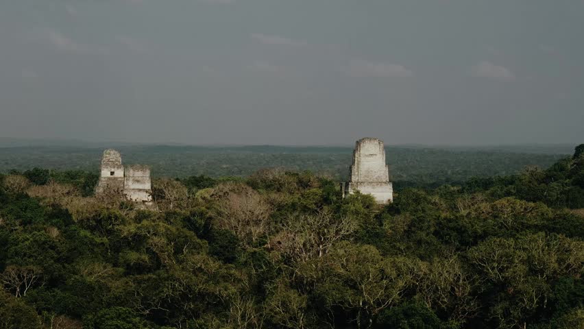 Stunning aerial footage of Tikal Temple IV, ancient Mayan pyramid, emerging from dense green jungle under moody skies in Guatemala. Wide angle drone shot with atmospheric natural lighting.