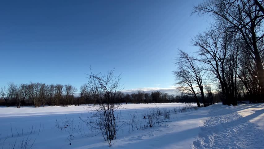 Snow-covered meadow with dormant winter shrubs and bare trees illuminated by warm golden sunset light under a blue sky.