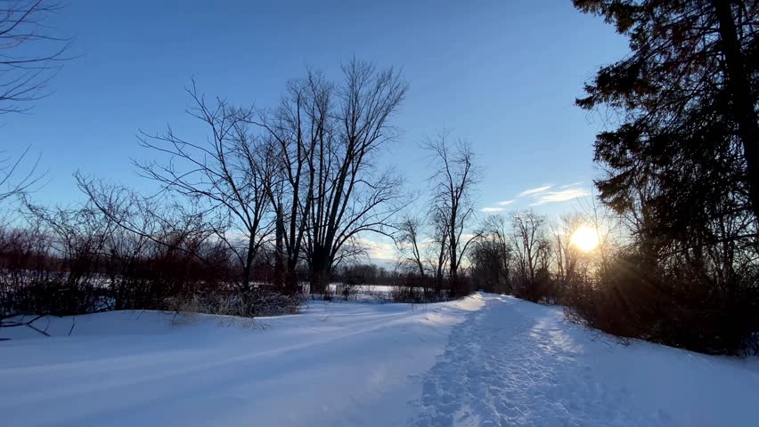 Snow-covered meadow with dormant winter shrubs and bare trees illuminated by warm golden sunset light under a blue sky.