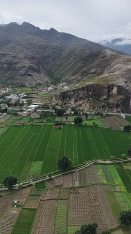 Aerial view of the lush green agricultural fields and the town of Mingora nestled in the valley surrounded by rugged mountains in Mingora, Khyber Pakhtunkhwa, Pakistan.