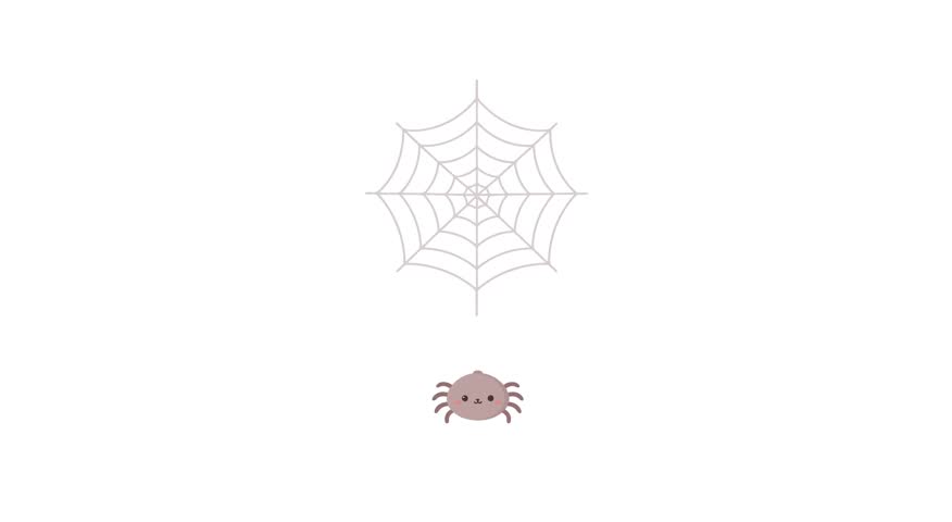 Cute spider web animation video