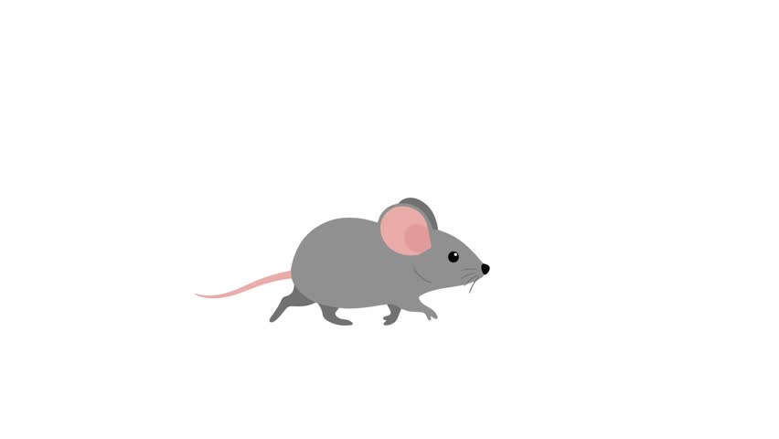 Animated video footage of a cute mouse walking.
