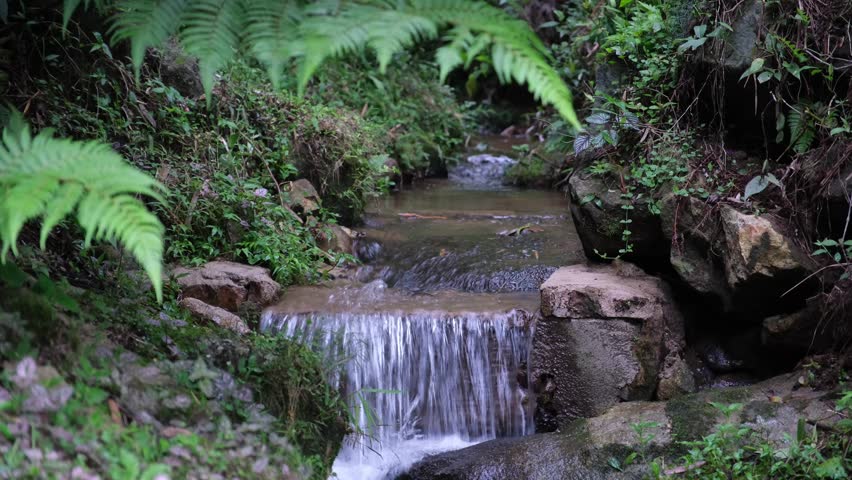 River flowing through a small waterfall in the forest