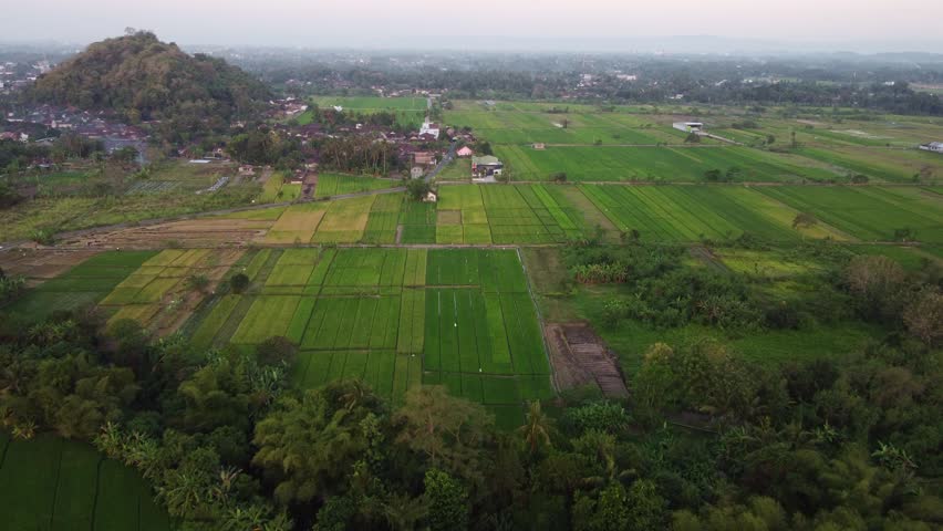 Rice fields and village beneath forested hill at sunset