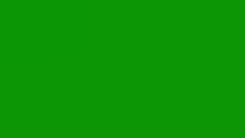 White background and black dog cow standing on two cats cat motion design on Green Screen Background