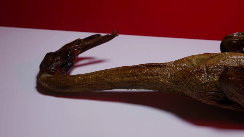 whole roasted peking duck with crispy brown skin rotating on white table against red background studio shot of prepared poultry dish ready for serving dinner